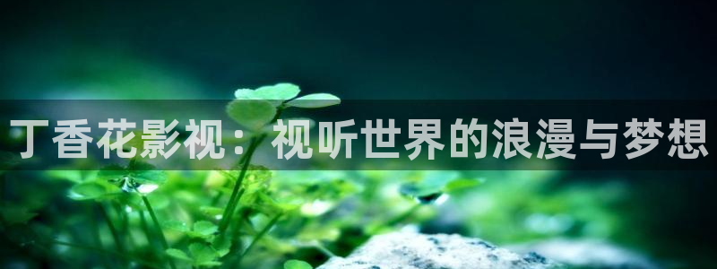 蓝莓直播高清免费：丁香花影视：视听世界的浪漫与梦想