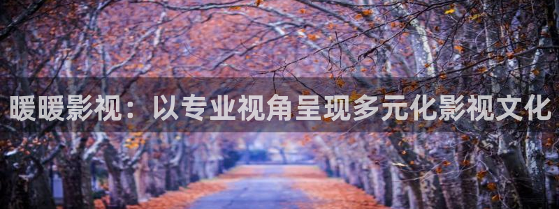 王蓝莓视频：暖暖影视：以专业视角呈现多元化影视文化