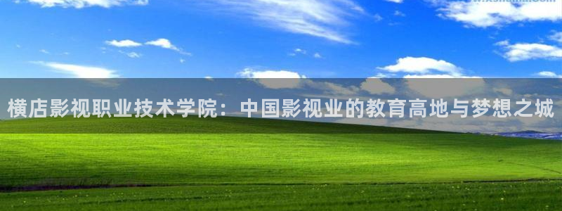 蓝莓视频在线免费观看：横店影视职业技术学院：中国影视业的教育高地与梦想之城