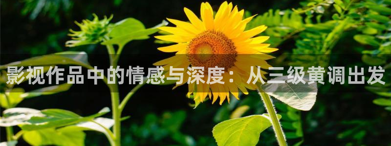 cc蓝莓视频：影视作品中的情感与深度：从三级黄调出发