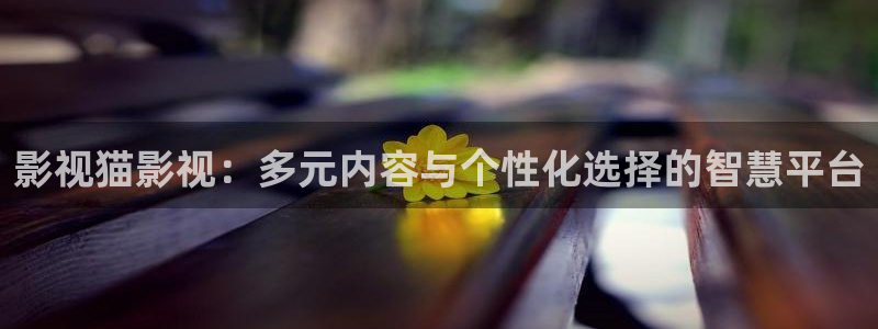 蓝莓片