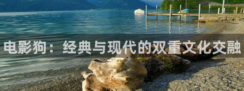 蓝莓视频免费观看
